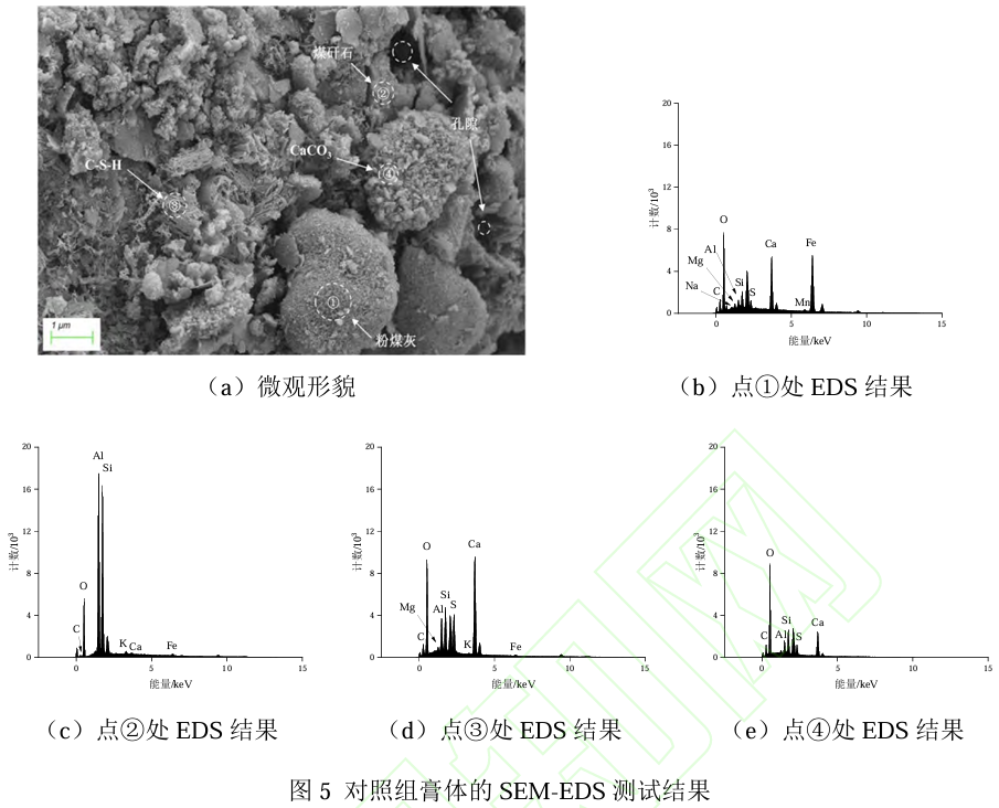 图5对照组膏体的SEM-EDS 测试结果.png 图5对照组膏体的SEM-EDS 测试结果.png