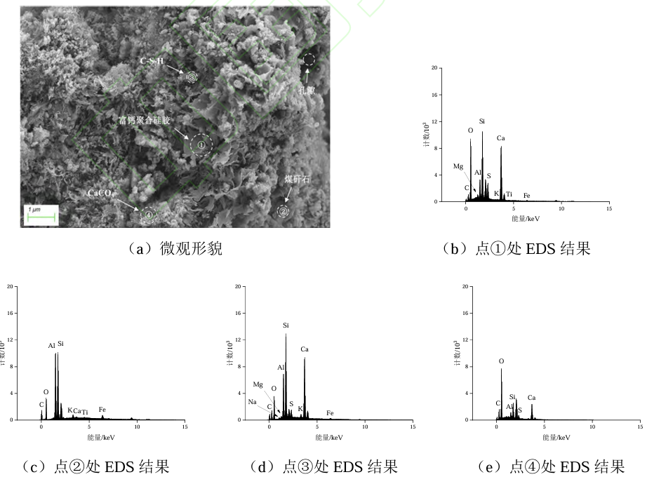 图6膏体M5的SEM-EDS测试结果.png 图6膏体M5的SEM-EDS测试结果.png