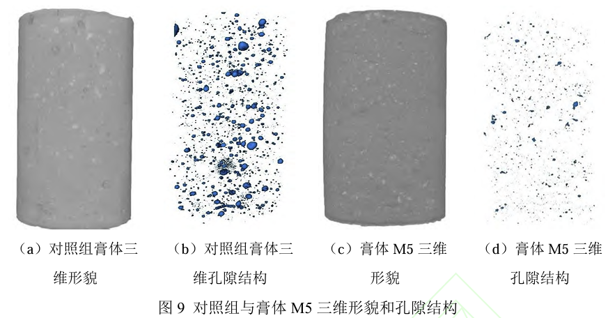 图9对照组与膏体 M5三维形貌和孔隙结构.png 图9对照组与膏体 M5三维形貌和孔隙结构.png