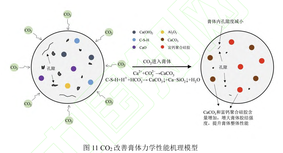 图11COz改善膏体力学性能机理模型.png 图11COz改善膏体力学性能机理模型.png