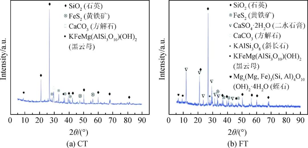CP和FP的矿物组成.jpg CP和FP的矿物组成.jpg