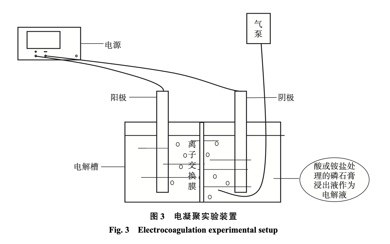 图3 电凝聚实验装置